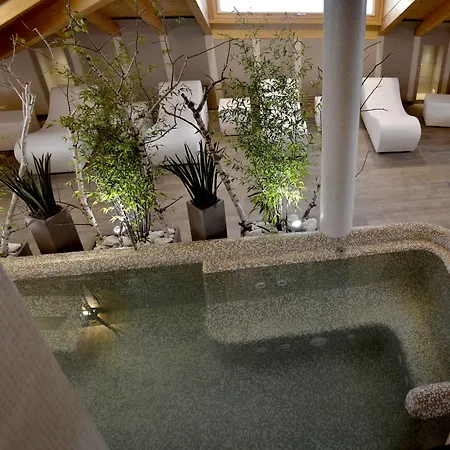 Otel Rosa Purpurea