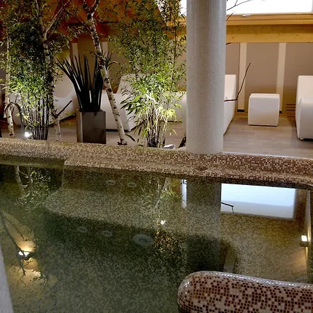 Rosa Purpurea Valdagno